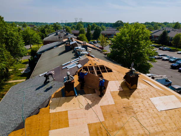 Best Roof Maintenance Services  in Terville, WA