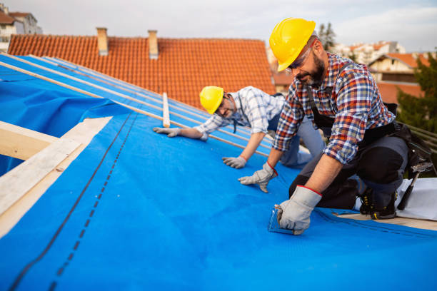 Best Storm Damage Roof Repair  in Terville, WA