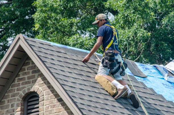Best Roof Leak Repair  in Terville, WA